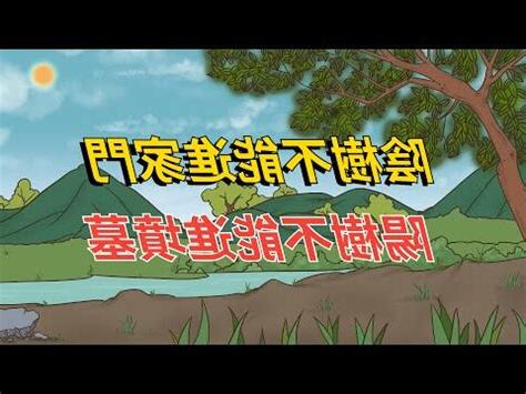 陽樹 陰樹